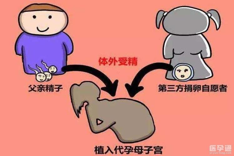 供卵的孩子是亲生的吗【供卵的孩子是亲生的吗?真相揭秘】