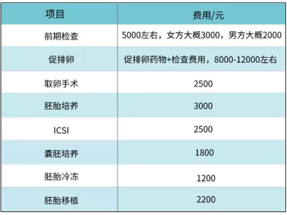 做试管婴儿借卵需要多少钱(试管婴儿借卵费用一览)