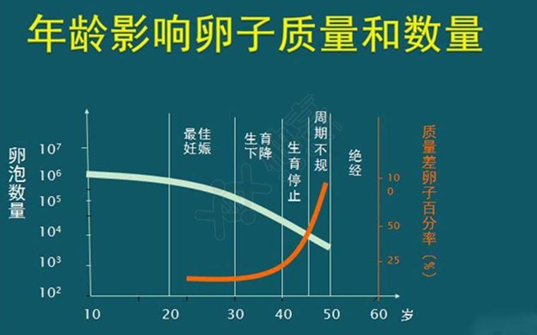 供卵生子成功率有多少(供卵生子成功率有多少?一窥成功率背后的真相)