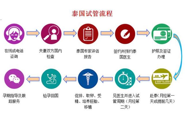 做试管代怀需要【试管代怀需求解析及实操指南】