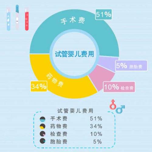 供卵试管代怀怎么收费(供卵试管代怀收费咨询指南)